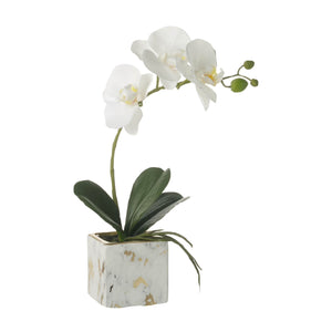 Potted Phalaenopsis White in Gold Marble Pot