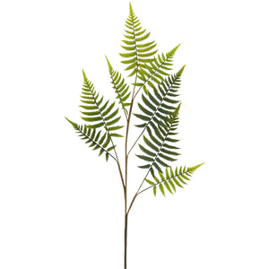 Large Faux Fern Evergreen Leaves.