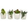 Set of 4 Vintage Glass Flower Pots