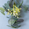 Eucalyptus & White Flower Sprig - 33cm